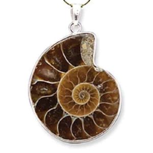 Ammonite Pendant