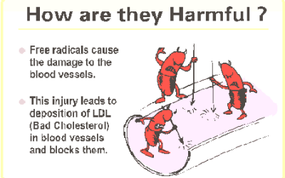 Free Radicals