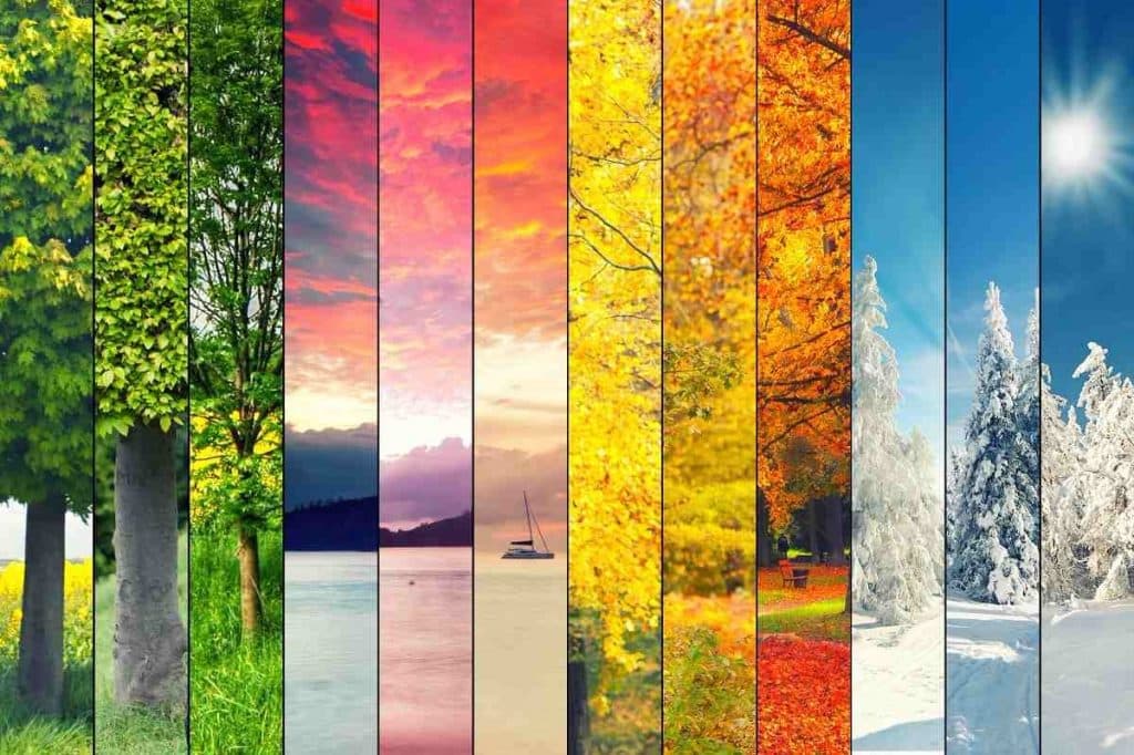 Seasons, Seasons Of Our Lives | Peacefulmind.com