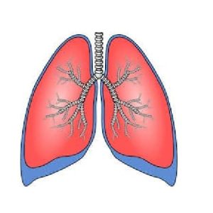 BreathEasy Tincture