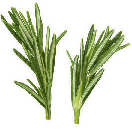 Angel's Mist Rosemary Essential Oil