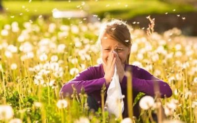 Allergy Elimination Diet