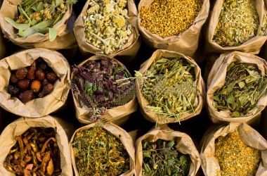 Natural Antibacterial Herbs
