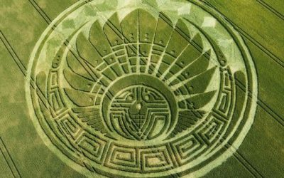 Crop Circles: Mystery of the British Invasion