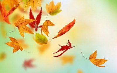 Remedies for Autumn Dryness