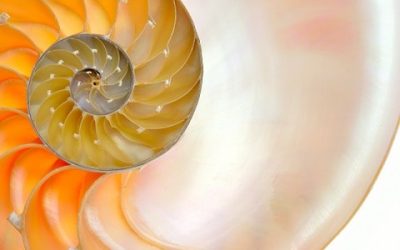 Seven (7) Natural Laws of the Universe