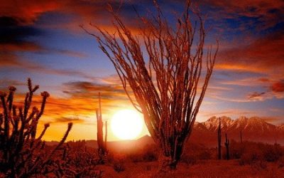 Soul Satisfying Journeys: Sensational Sunsets