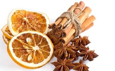 Seasonal Herbs for Christmas