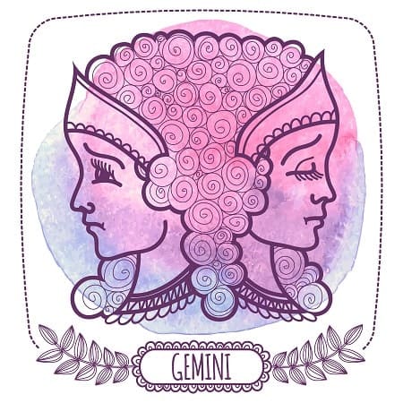 Gemini Twins: The Chamelion