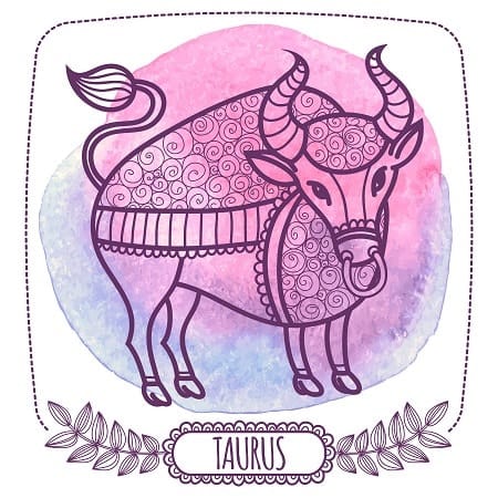 Taurus: The Practical Bull