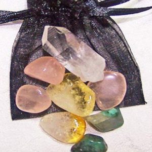 Taurus Medicine Pouch
