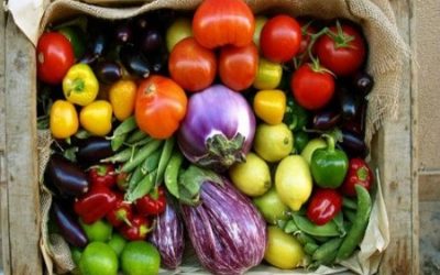 Food Choices for Spring
