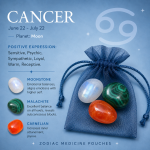 Cancer Medicine Pouch