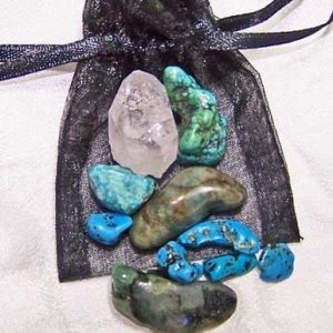 Gemini Medicine Pouch