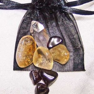 Leo Medicine Pouch