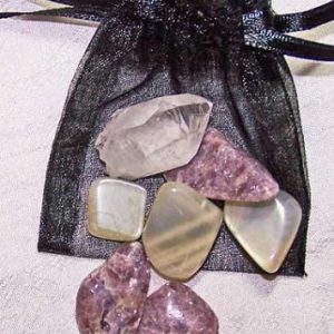 Pisces Medicine Pouch