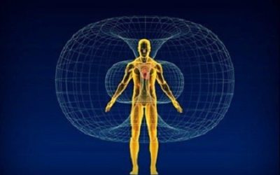 Orgone Energy