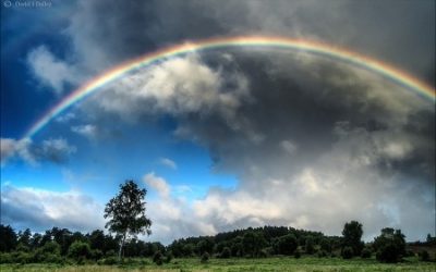 History of Color Therapy