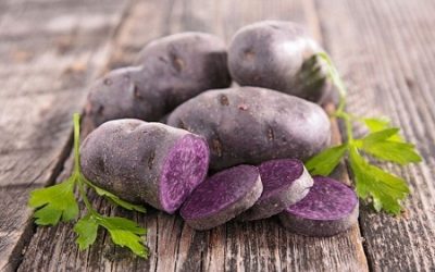 Food Choices for Winter