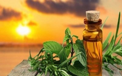 Summer Essential Oils