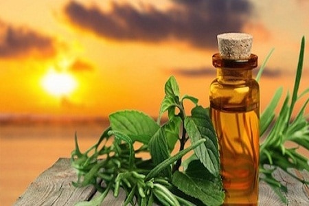 Essential Oils for Travel