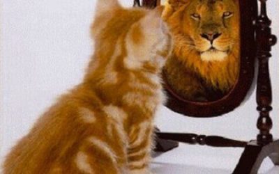 Self-Esteem Series: The “Honor Myself” Check List