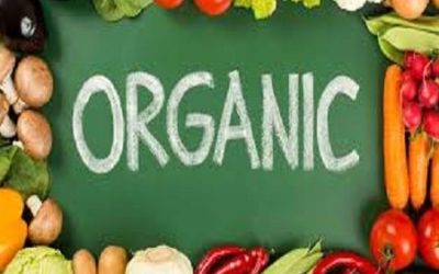 Eating Organic