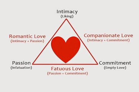 Triangle theory of love the What You