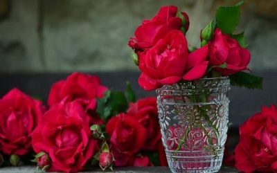 Psychological Aspects of Rose