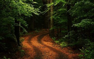 The Path Less Taken