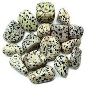 Dalmatian Jasper Tumblestone Only