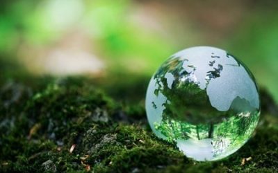 Celebrating Earth Week: Reduce, Reuse, Re-love
