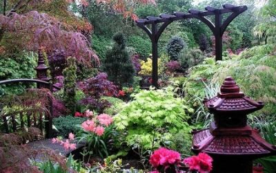 Feng Shui Your Garden