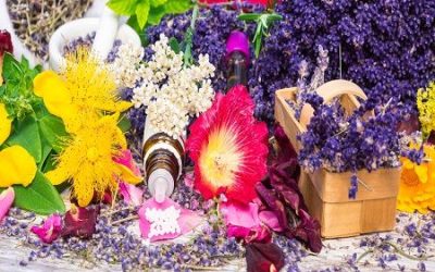 Taking Herbs Internally