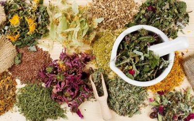 Herbs Used for Cleansing