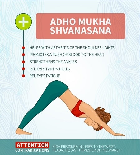 Adho Mukha Shvanasana