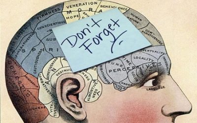 Boosting Memory Supplements