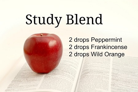 Essential Oils for Study