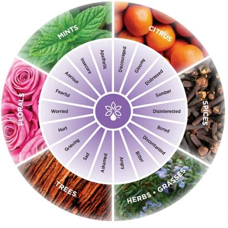 Aromatherapy Certification Course | Peacefulmind.com