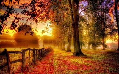 Celebrating Mabon