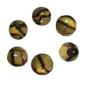 Septarian Palm Stone
