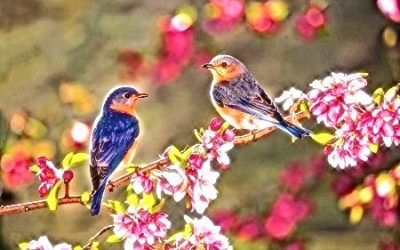 7 Empowering Tips for Spring