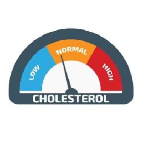 Cholesterol Support