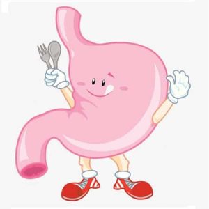 Digestive Balance
