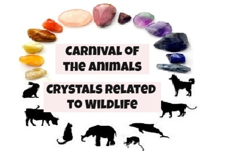 Carnival of the Animals: Crystals Named After Wildlife