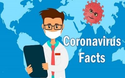 Coronavirus Covid-19 FACTS