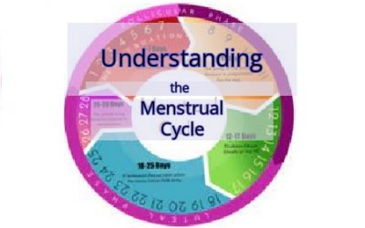 National Fertility Week: Understanding The Menstrual Cycle