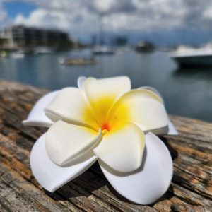 Plumeria Clip On
