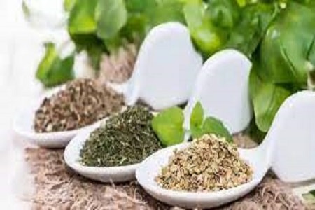 Herbal Assists for Diabetes