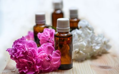 Top 14 Essential Oils for Gut Health